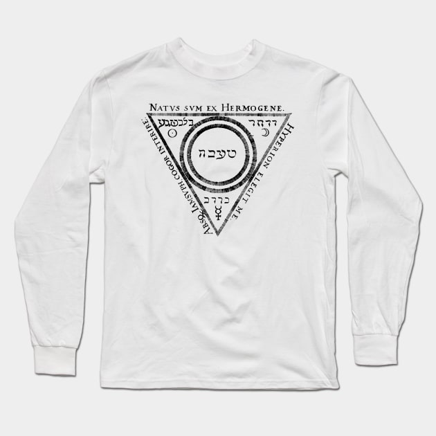 Hermogene Alchemy and Magic Long Sleeve T-Shirt by Pixelchicken